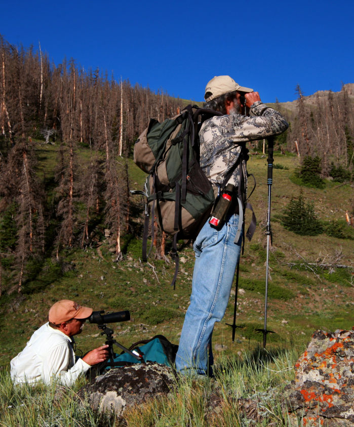 Grizzly Moth Site